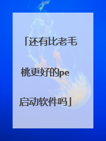 ���б���ë�Ҹ��õ�pe����������