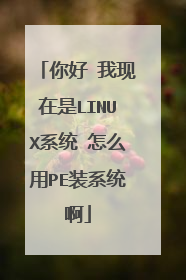 ��� ��������LINUXϵͳ ��ô��PEװϵͳ��
