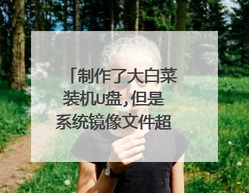 �����˴�ײ�װ��U��,����ϵͳ�����ļ�����4g�Ų���U����ô�죿