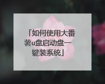 如何使用大番薯u盘启动盘一键装系统