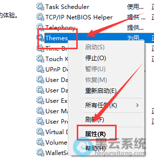 ѡ������
