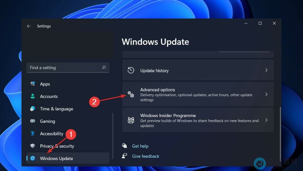 ����߼�ѡ��