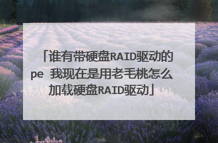 ˭�д�Ӳ��RAID������pe ������������ë����ô����Ӳ��RAID����