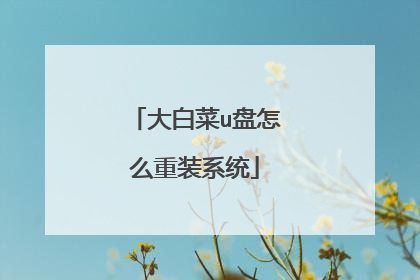 大白菜u盘怎么重装系统