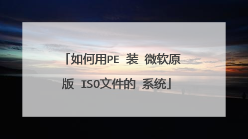 �����PE װ ΢��ԭ�� ISO�ļ��� ϵͳ