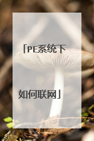 PEϵͳ���������