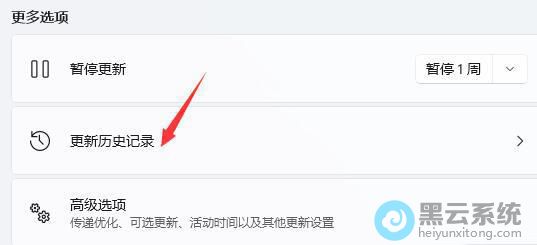 ���������ʷ��¼