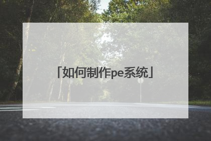 �������peϵͳ