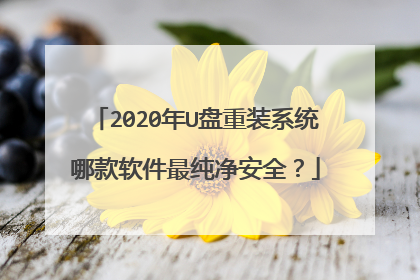 2020��U����װϵͳ�Ŀ����������ȫ��