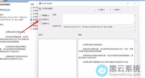 ѡ��������