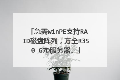 ����winPE֧��RAID�������У���ȫR350 G7D��������