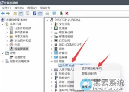 ѡ�������������