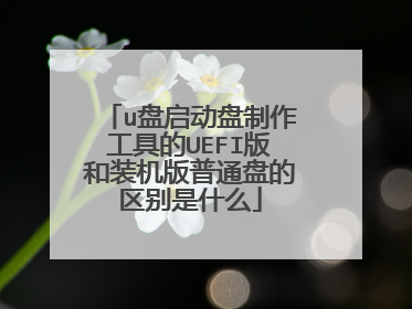 u盘启动盘制作工具的UEFI版和装机版普通盘的区别是什么