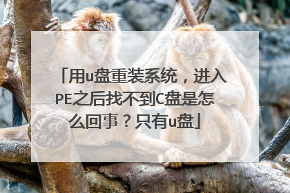 用u盘重装系统,进入PE之后找不到C盘是怎么回事?只有u盘