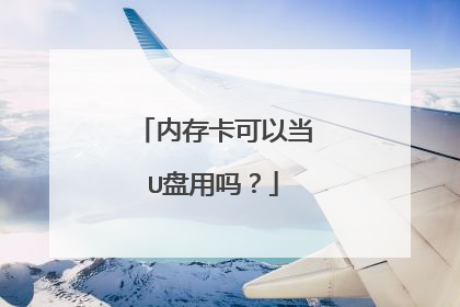 �ڴ濨���Ե�U������