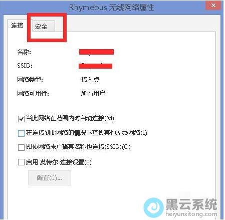 选择安全性选项栏