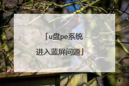 u盘pe系统进入蓝屏问题