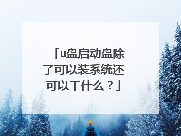 u盘启动盘除了可以装系统还可以干什么?