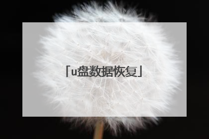 u盘数据恢复