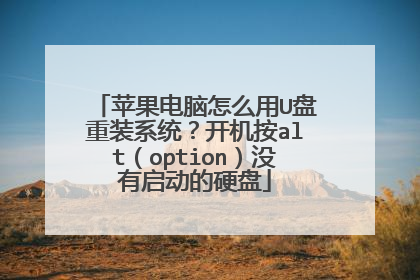 ƻ��������ô��U����װϵͳ��������alt��option��û��������Ӳ��