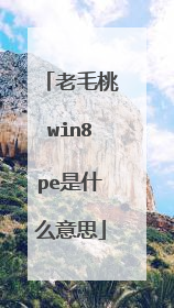 ��ë��win8pe��ʲô��˼