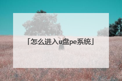 怎么进入u盘pe系统