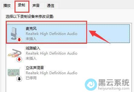 确认麦克风设备已启用