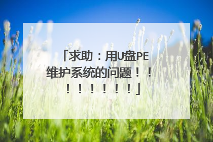 ��������U��PEά��ϵͳ�����⣡��������������