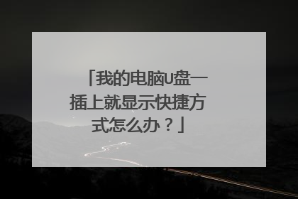 �ҵĵ���U��һ���Ͼ���ʾ��ݷ�ʽ��ô�죿