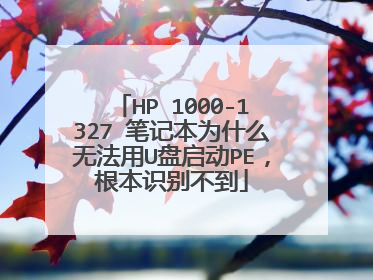 HP 1000-1327 �ʼǱ�Ϊʲô�޷���U������PE������ʶ�𲻵�