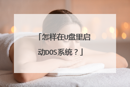 怎样在U盘里启动DOS系统?
