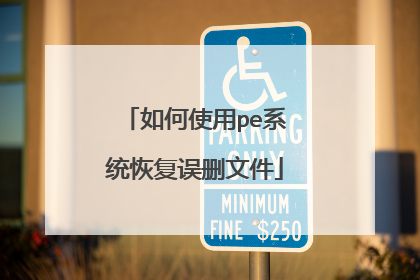 ���ʹ��peϵͳ�ָ���ɾ�ļ�