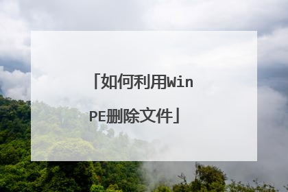 �������WinPEɾ���ļ�