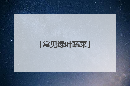 常见绿叶蔬菜