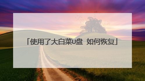 ʹ���˴�ײ�U�� ��λָ�