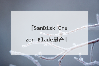 SanDisk Cruzer Blade����