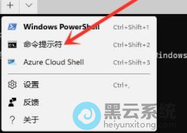 ѡ��������ʾ��