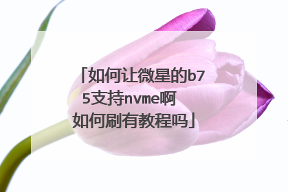 �����΢�ǵ�b75֧��nvme�� ���ˢ�н̳���