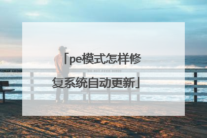 peģʽ�����޸�ϵͳ�Զ�����