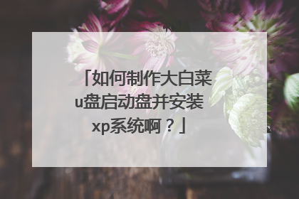 如何制作大白菜u盘启动盘并安装xp系统啊?