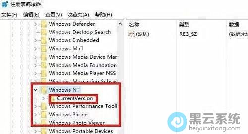 ���Microsoft\Windows NT