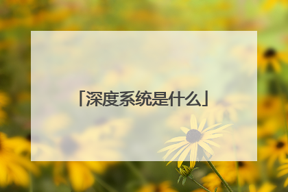 ���ϵͳ��ʲô