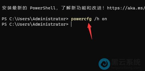 输入powercfg /h on