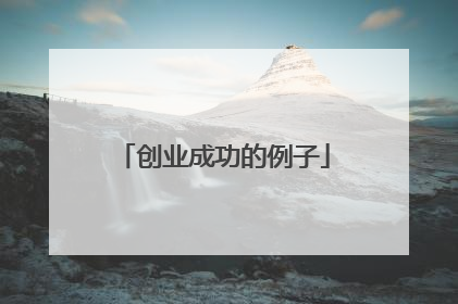 创业成功的例子