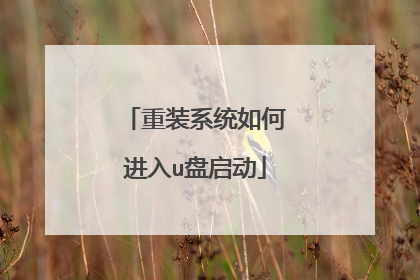 ��װϵͳ��ν���u������