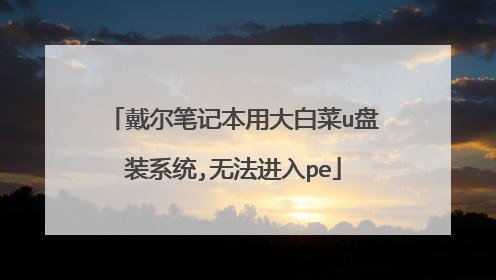 �����ʼǱ��ô�ײ�u��װϵͳ,�޷�����pe