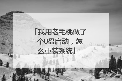 ������ë������һ��U����������ô��װϵͳ