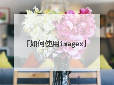 如何使用imagex