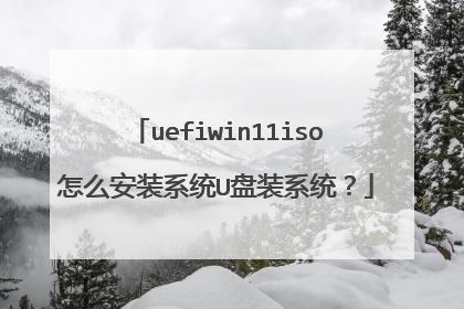 uefiwin11iso��ô��װϵͳU��װϵͳ��