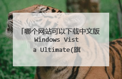�ĸ���վ�����������İ�Windows Vista Ultimate(�콢��)����������԰���